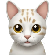 Cat sticker