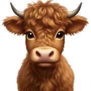 brown fluffy baby scottish cow with a small bow on head sticker