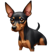 Old Miniature Pinscher sticker