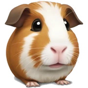 Guinea pig sticker