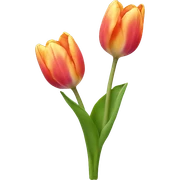 Tulip sticker