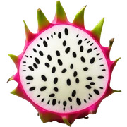 dragon fruit  sticker