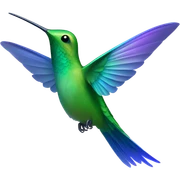 Colibri sticker