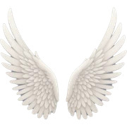 wing sticker