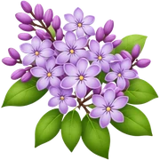 Lilac sticker