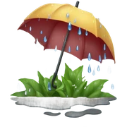 rain sticker