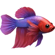betta fish sticker