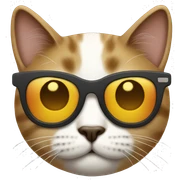 Cat with sunglasses sticker