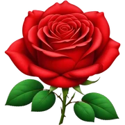 Rose sticker