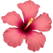 hibiscus flower sticker