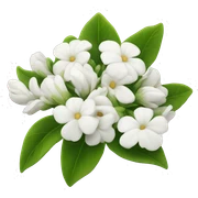 White flowers sticker