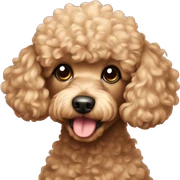 Toy poodle sticker