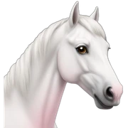 white horse with light pink nose sticker