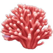 coral sticker