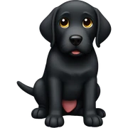 Black lab who’s stomach hurts sticker