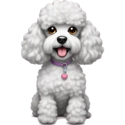 poodle sticker