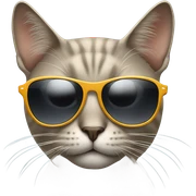 Cat with sunglasses sticker