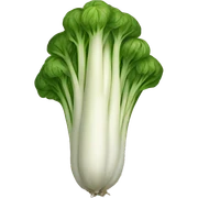 Vegetable mooli  sticker