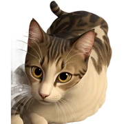 realistic cat gazing intently sticker