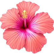 Hibiscus sticker