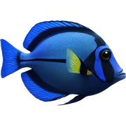blue tang sticker