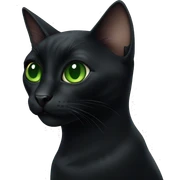 Black cat with big green eyes  sticker