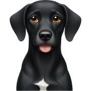 Perro negro sticker