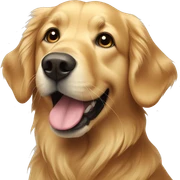 Golden retriever  sticker