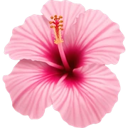light pink hibiscus sticker