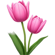 pink tulips sticker