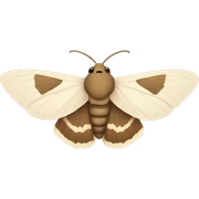 Moth sticker