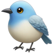 bird sticker