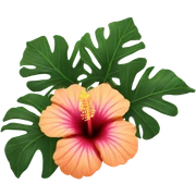Hibiscus flower  sticker