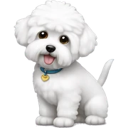 Bichon frise sticker