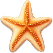 Starfish sticker
