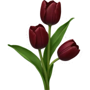 Dark red tulip sticker