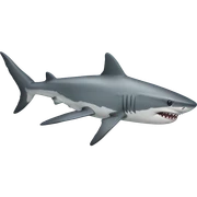 shark  sticker