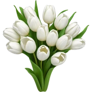 white tulip bouquet sticker