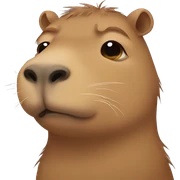 crying capybara sticker
