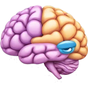 brain sticker