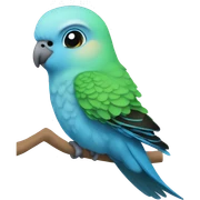 Blue budgerigar sticker