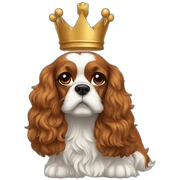 king charles sticker