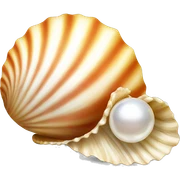 shell with pearl sticker