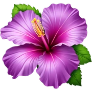 Lilac hibiscus  sticker