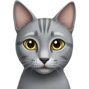 Grey cat  sticker