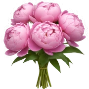bouquet of peonies  sticker