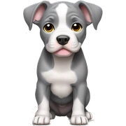 Gray Pitbull puppy standing sticker