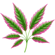 Pink weed sticker