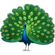 Peacock  sticker
