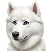 white-husky sticker